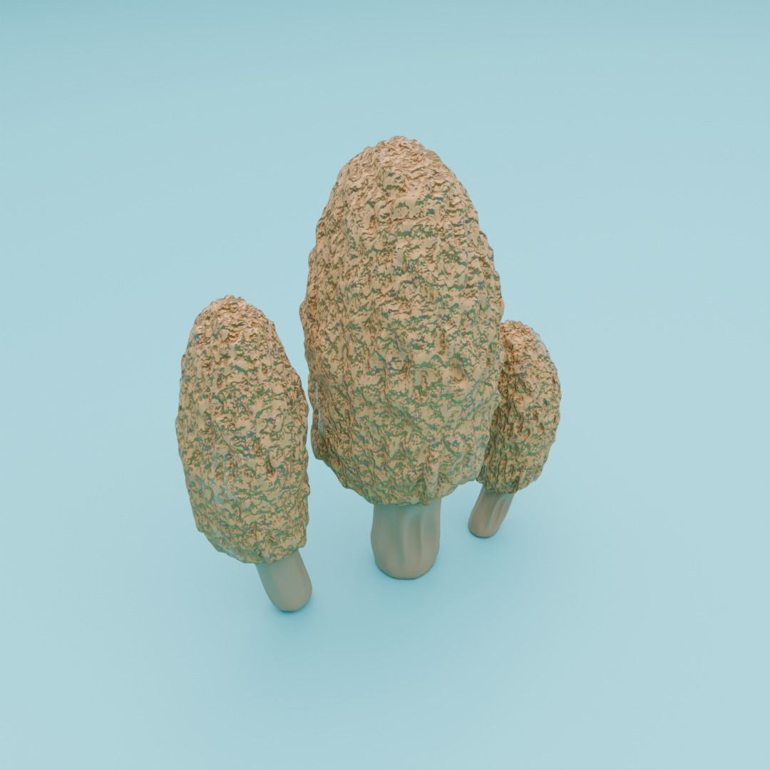 Mushrooms 3D model_9