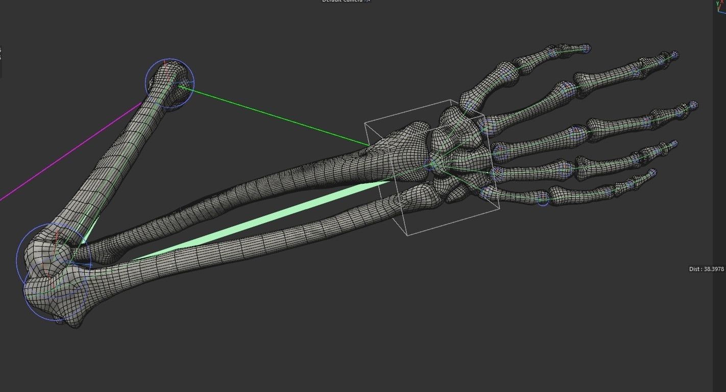 Human Arm Bones Rigged - Right Arm Low-poly 3D model_8