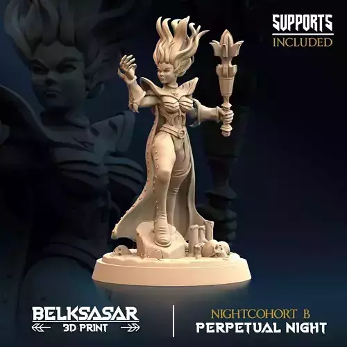 Nightcohort B 3D print model