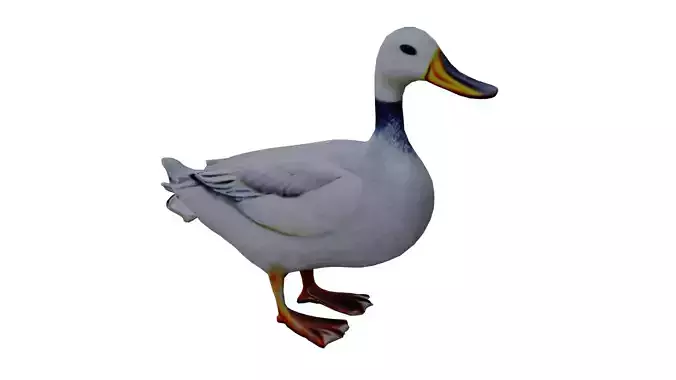 Duck White low poly