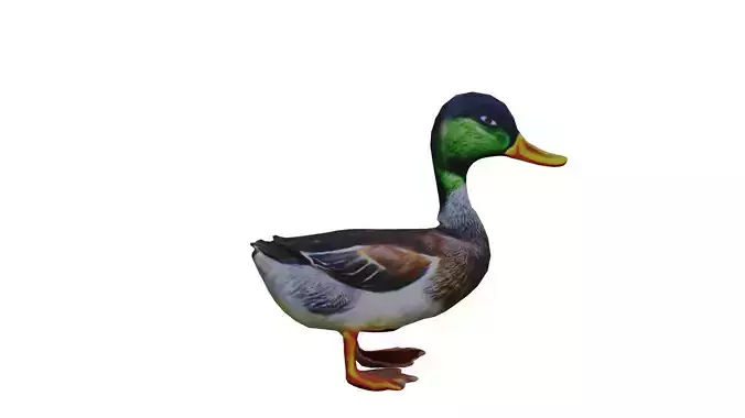 Duck low poly 3D model