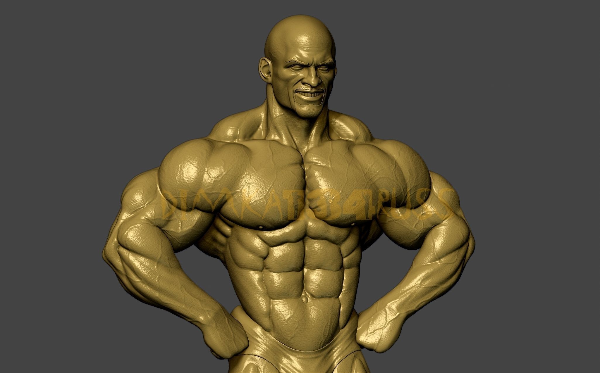 BODYBUILDING 3D print model_2