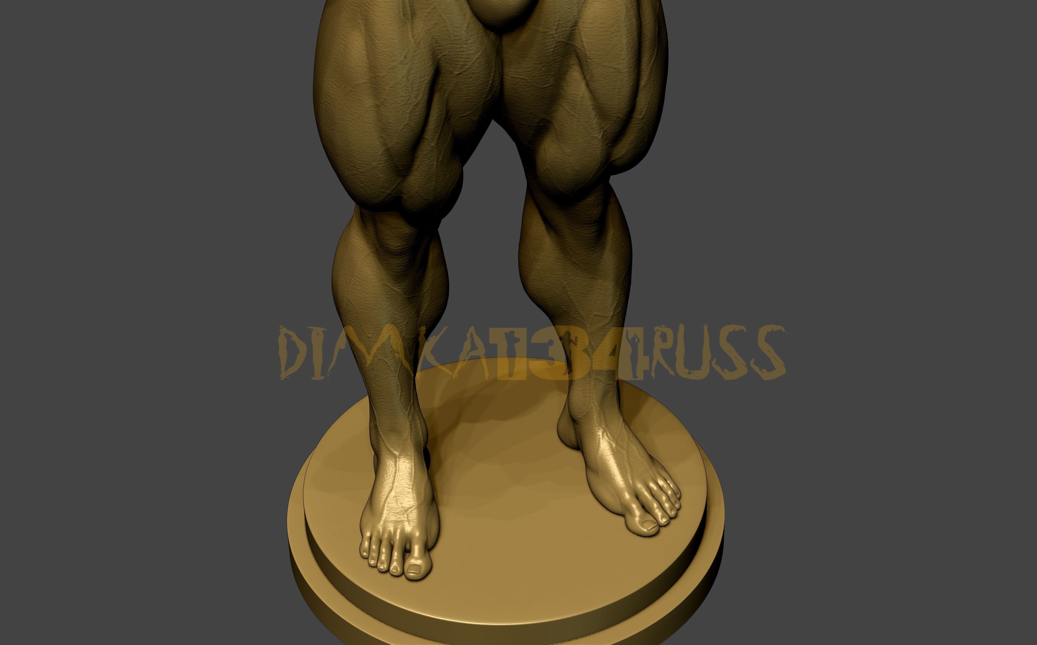 BODYBUILDING 3D print model_11