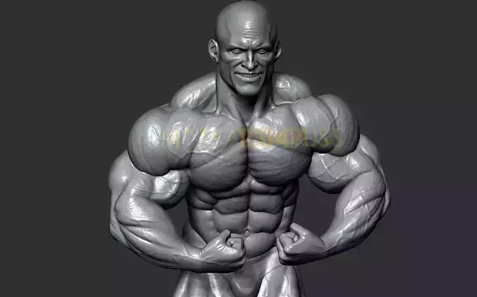BODYBUILDING 3D print model