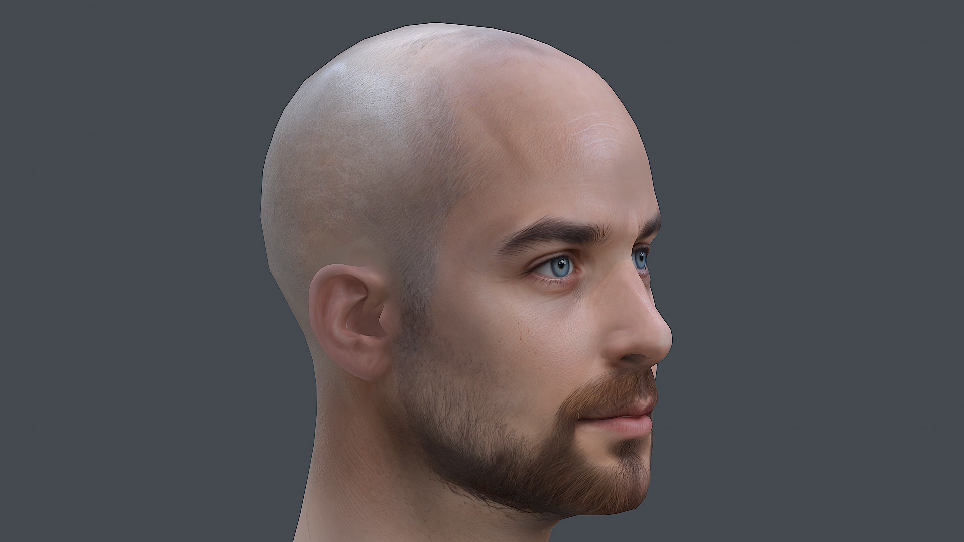 Male head Realistic Perfect Head Low-poly 3D model game ready Low-poly 3D model_4