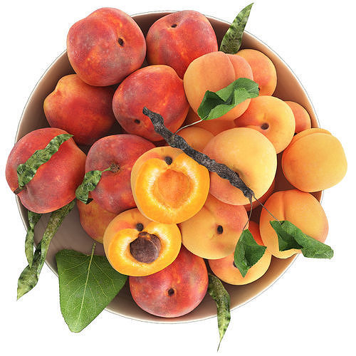 bowl of apricots and peaches 3D model 3