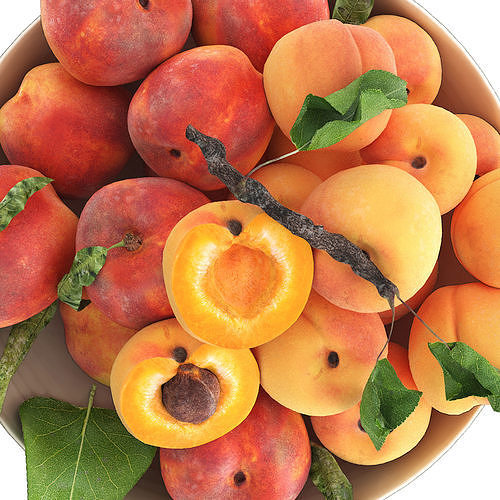 bowl of apricots and peaches 3D model 5
