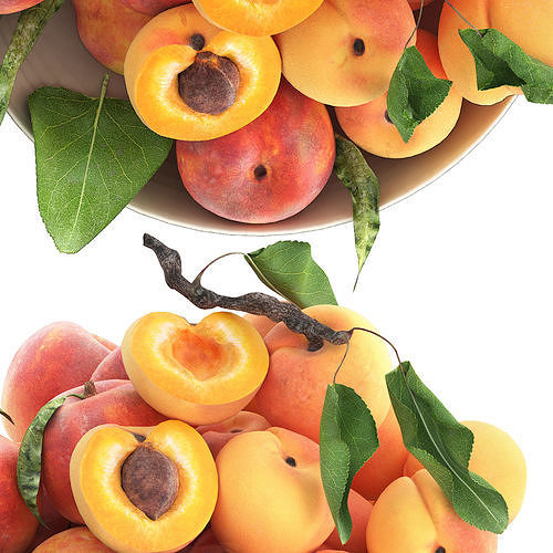 bowl of apricots and peaches 3D model 4