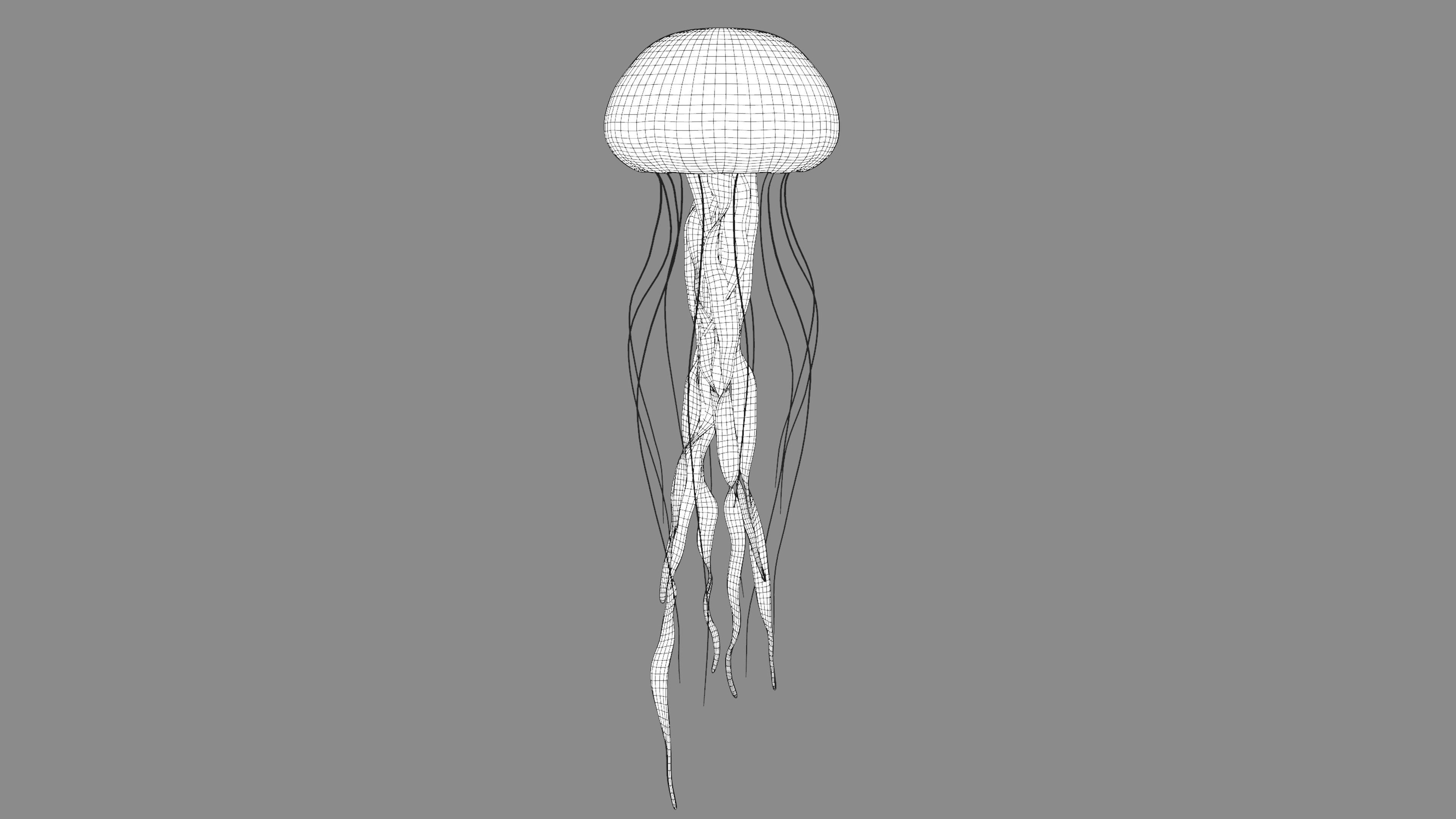 Jellyfish Pack 5 Low-poly 3D model_30