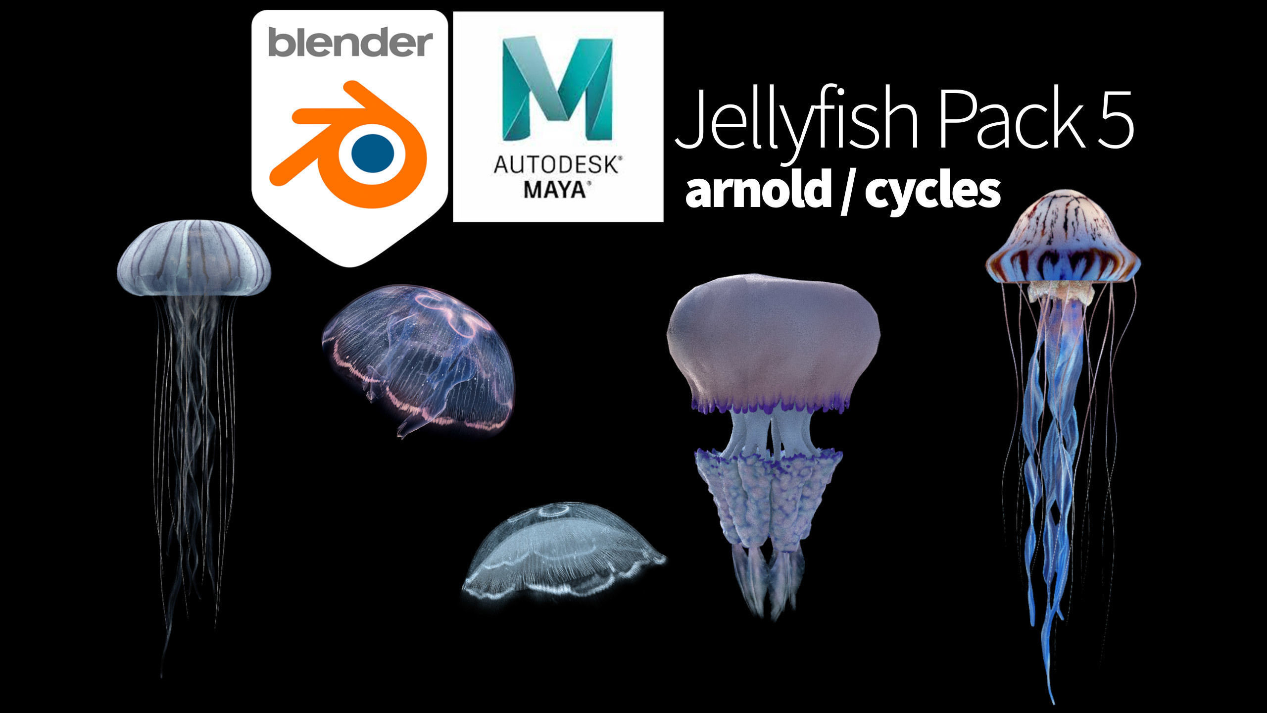 Jellyfish Pack 5 Low-poly 3D model_3
