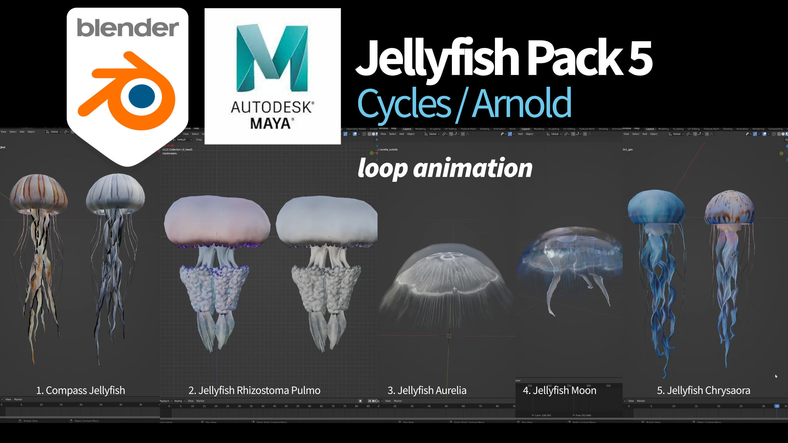 Jellyfish Pack 5 Low-poly 3D model_4