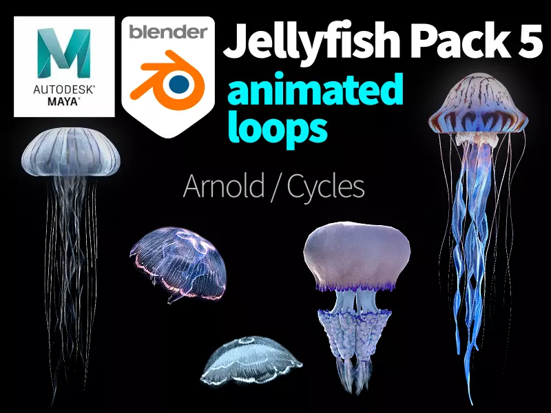 Jellyfish Pack 5 Low-poly 3D model_0