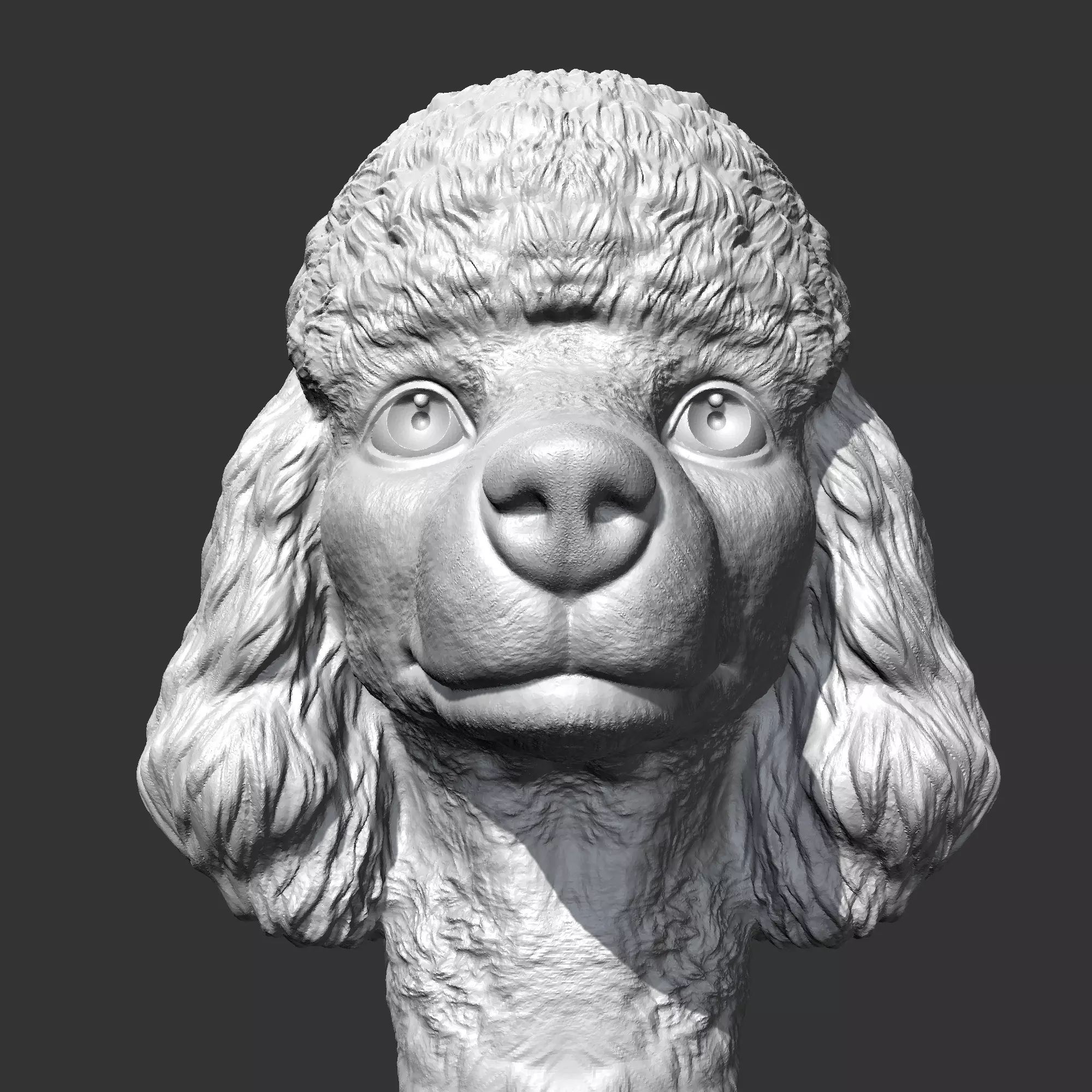 Poodle Head AM38 3D print model 3D print model