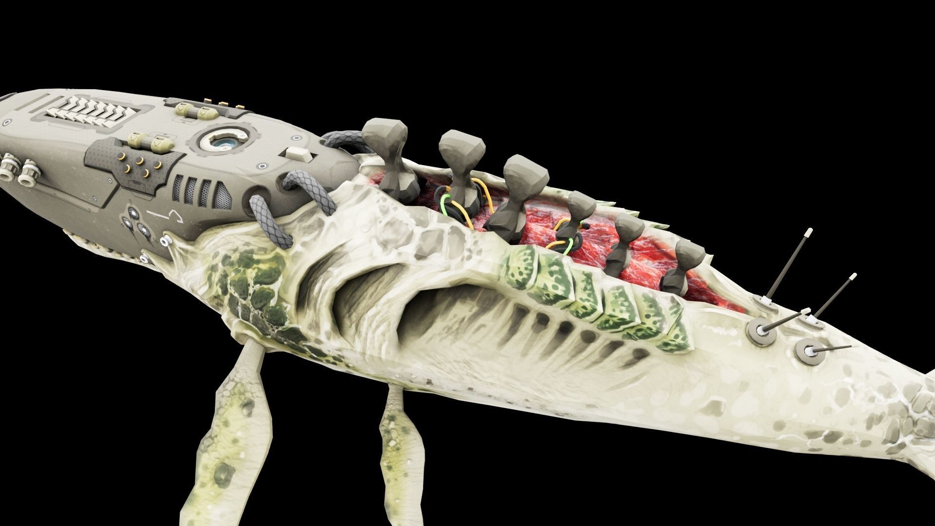 Biomechanical Whale Low-poly 3D model_1