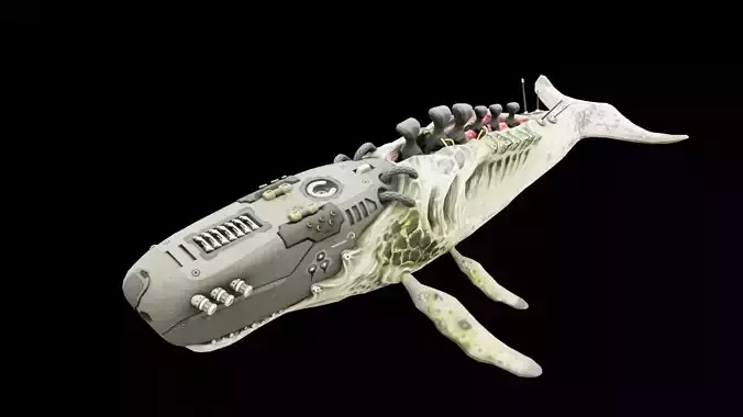 Biomechanical Whale