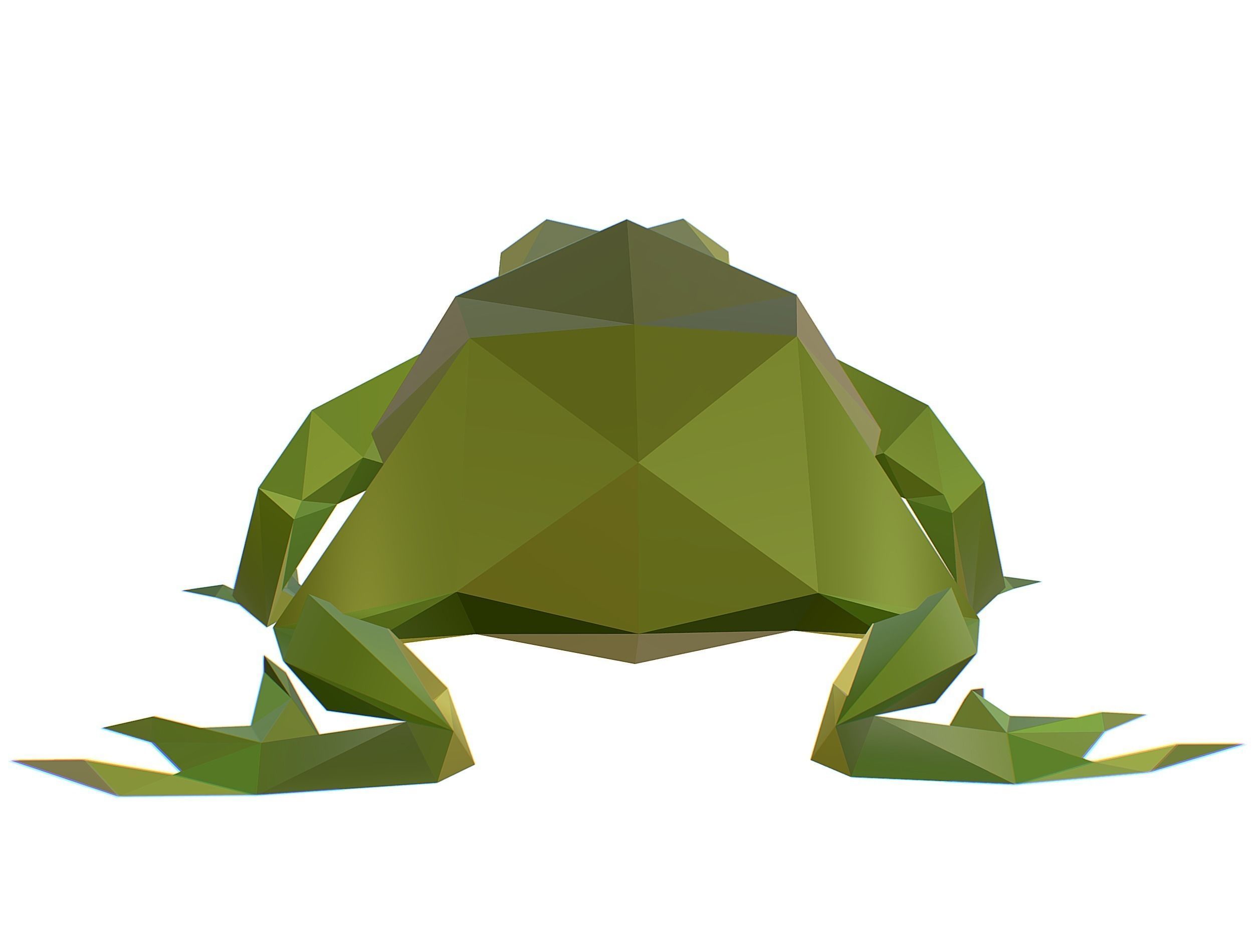 Animated Green Frog Lowpoly Art Style Low-poly 3D model_38
