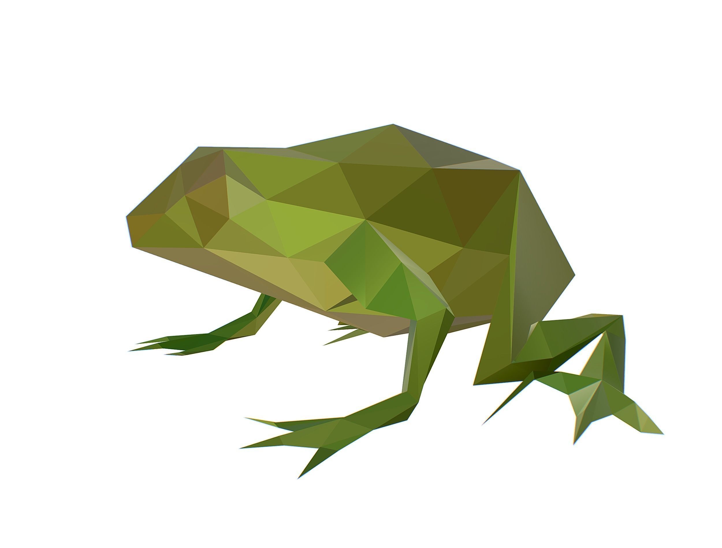 Animated Green Frog Lowpoly Art Style Low-poly 3D model_29