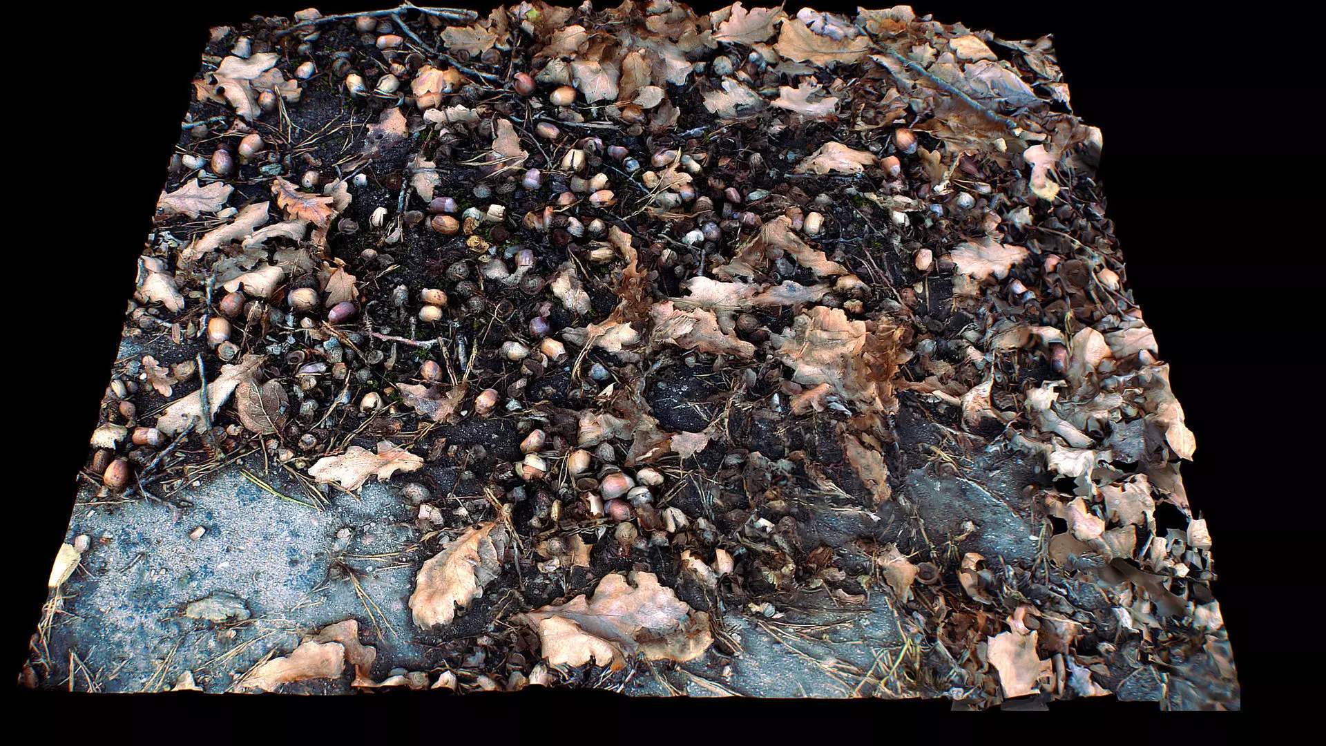 forest ground oak leafs photogrammetry FREE Free low-poly 3D model