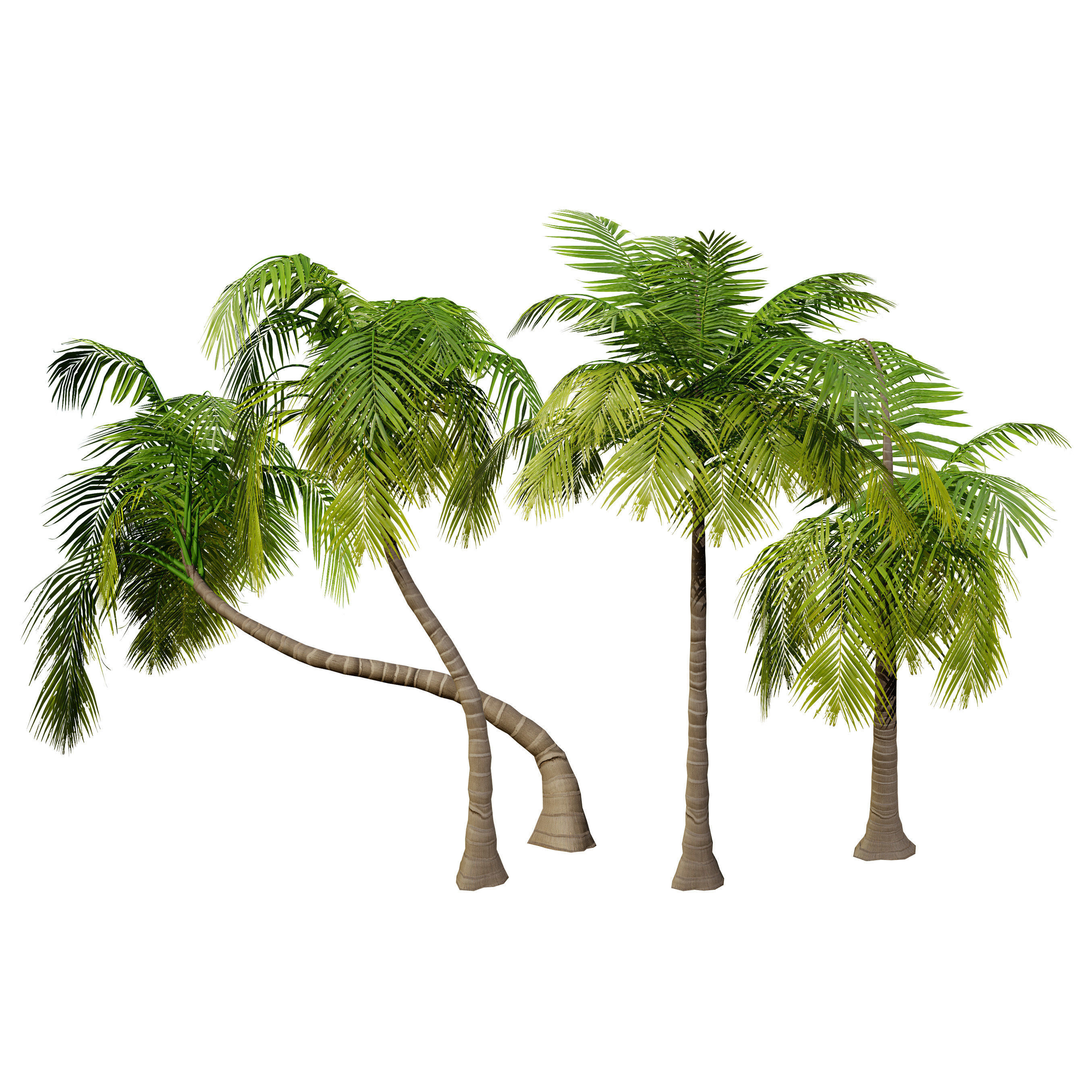 Low-Poly Beach Palms Low-poly 3D model_5