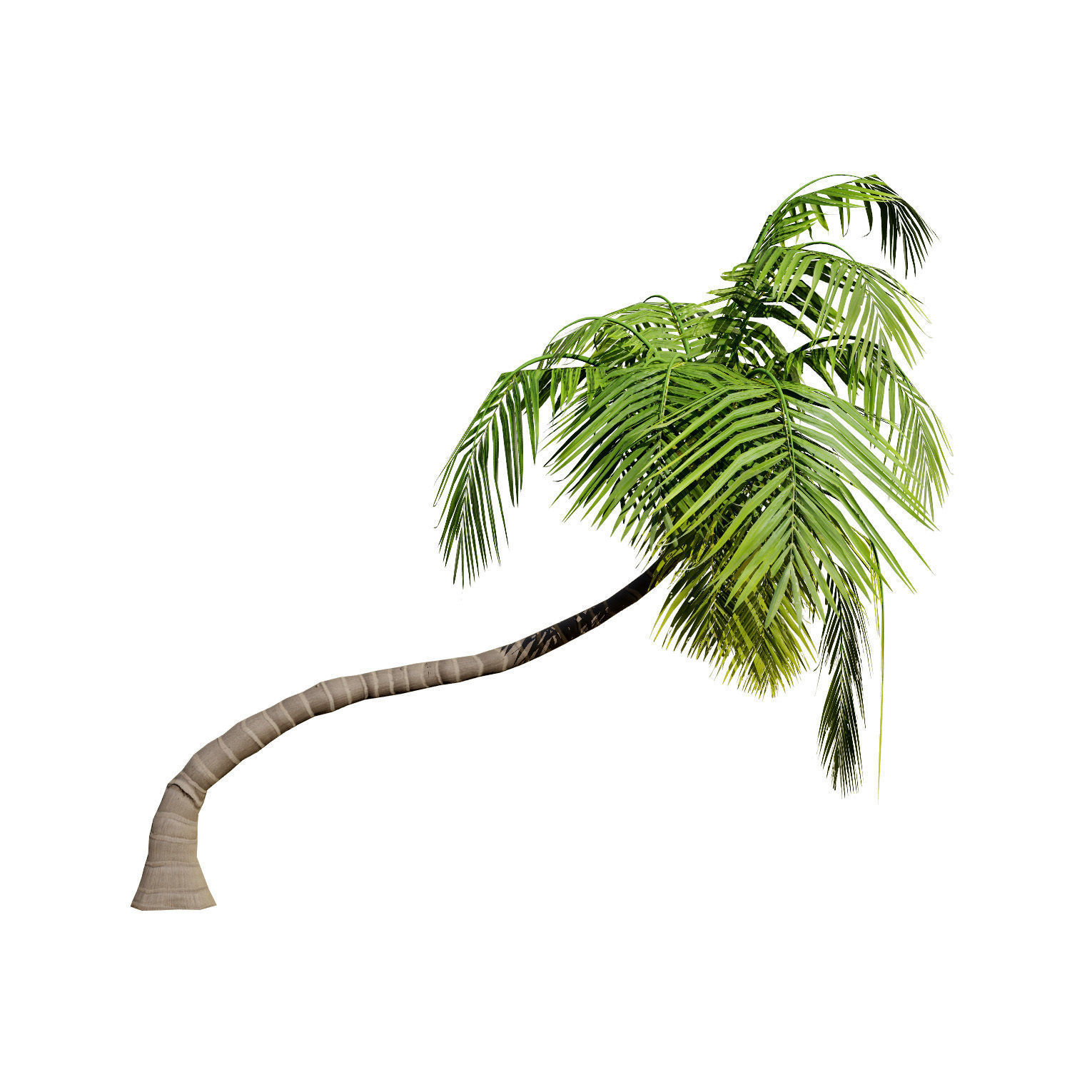 Low-Poly Beach Palms Low-poly 3D model_8