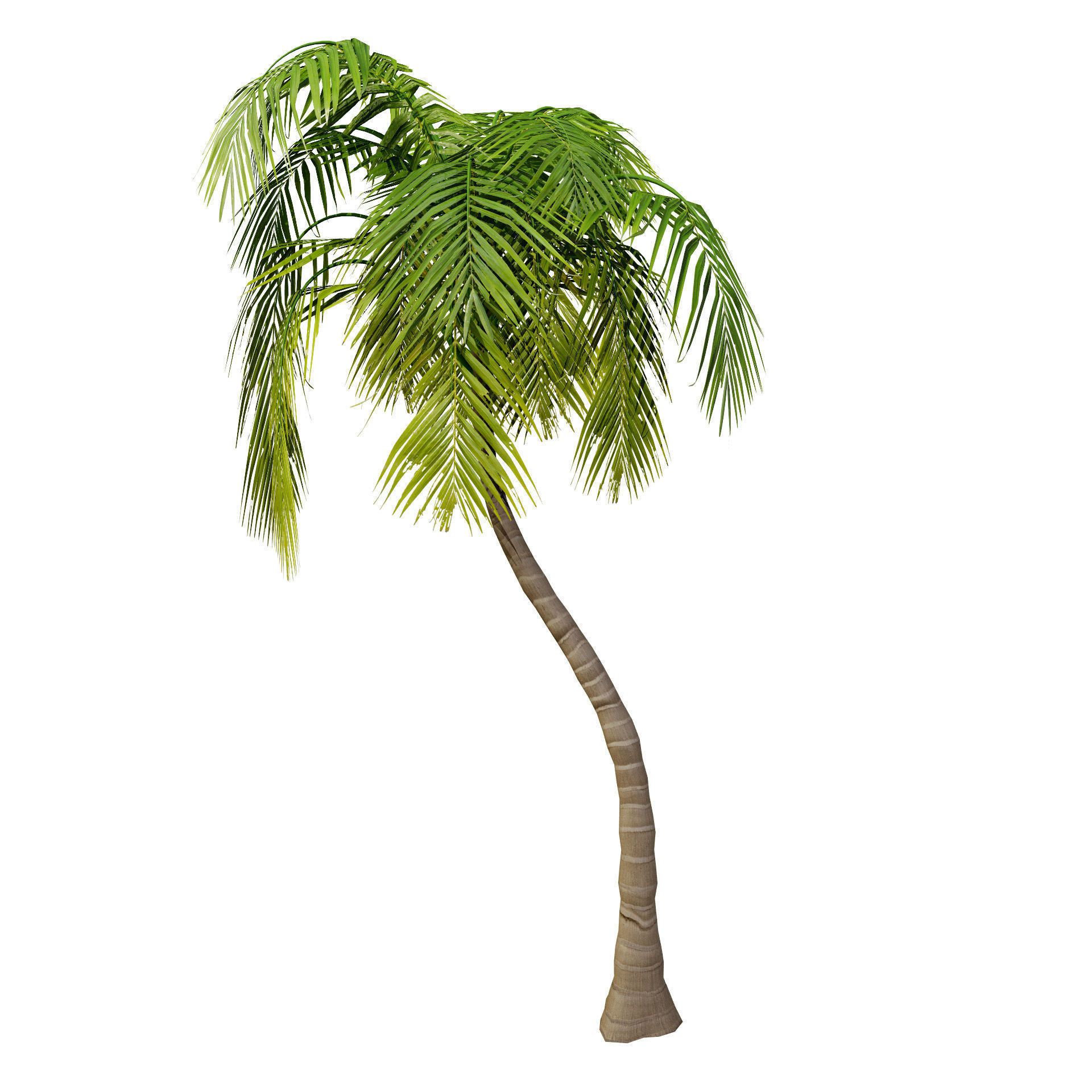 Low-Poly Beach Palms Low-poly 3D model_9