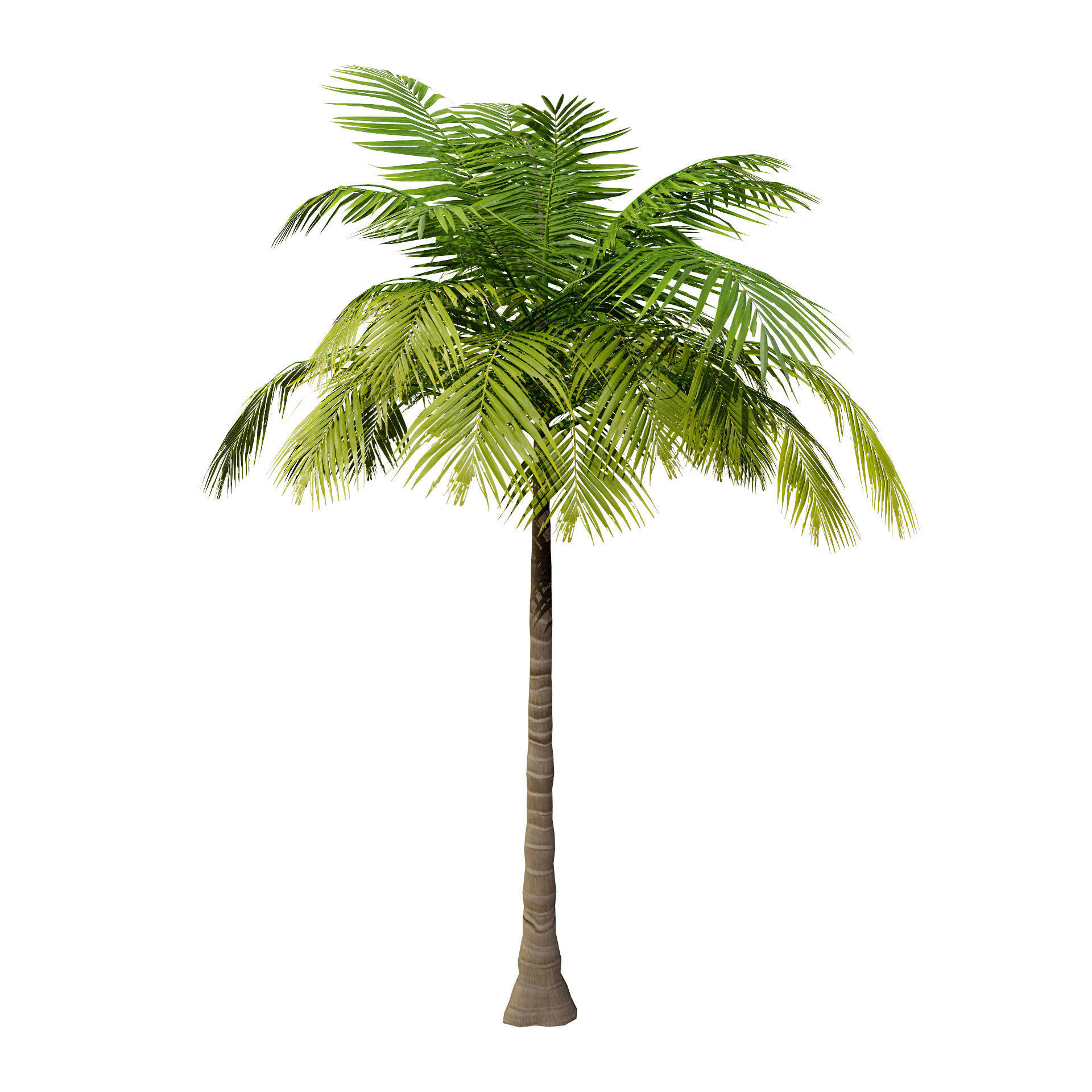 Low-Poly Beach Palms Low-poly 3D model_6