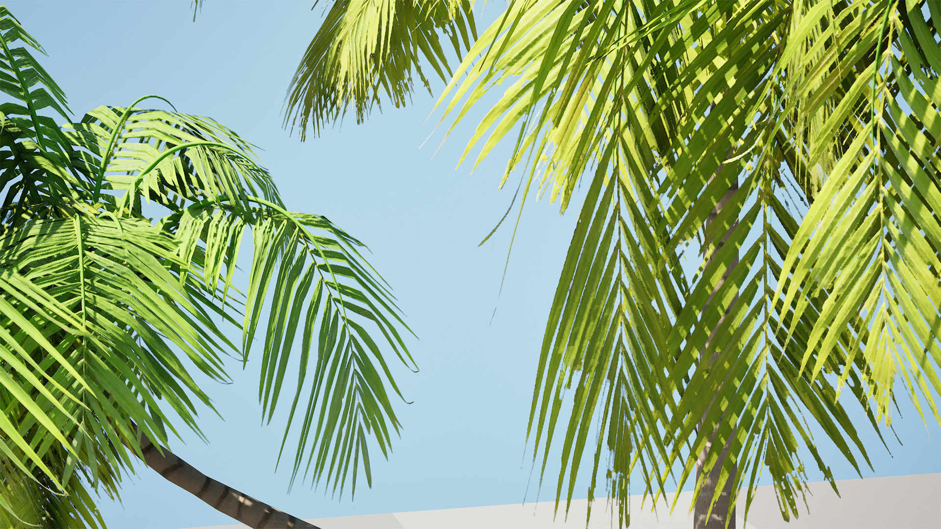 Low-Poly Beach Palms Low-poly 3D model_1