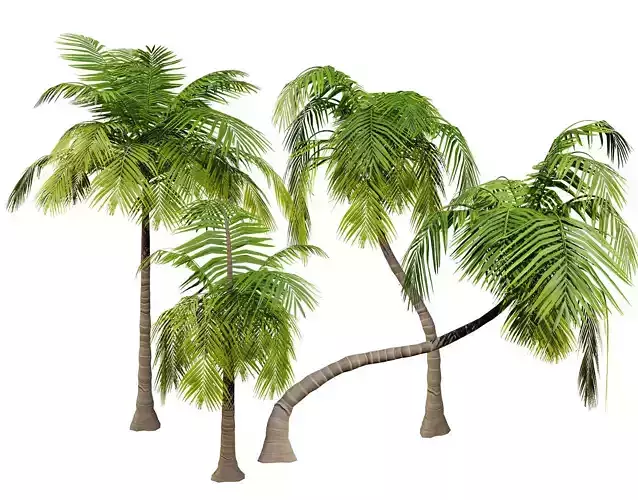 Low-Poly Beach Palms Low-poly 3D model