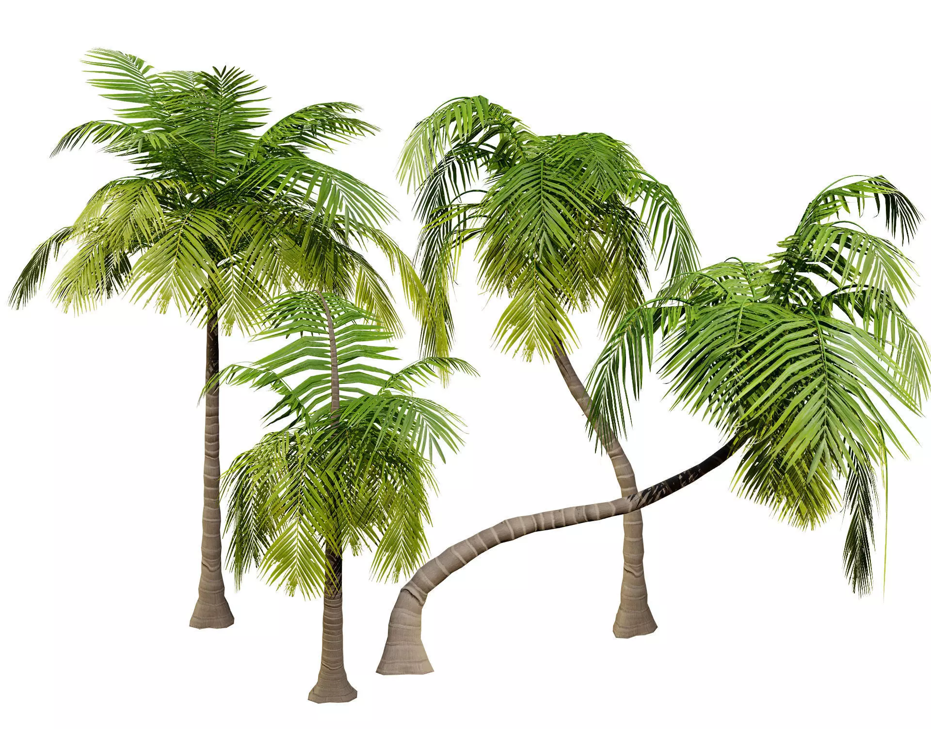 Low-Poly Beach Palms Low-poly 3D model_0