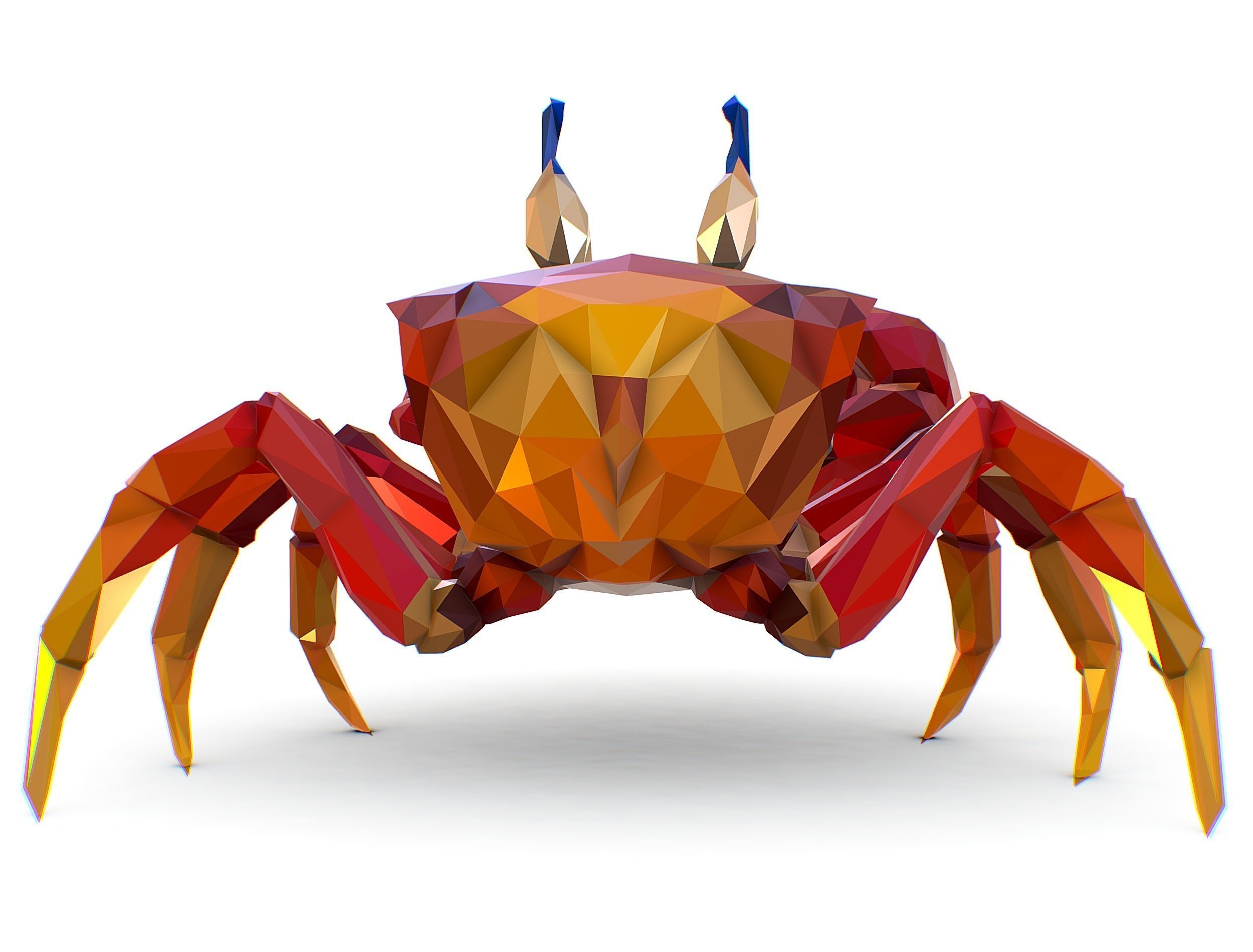 Red Sea Crab Lowpoly Art Style Low-poly 3D model_23