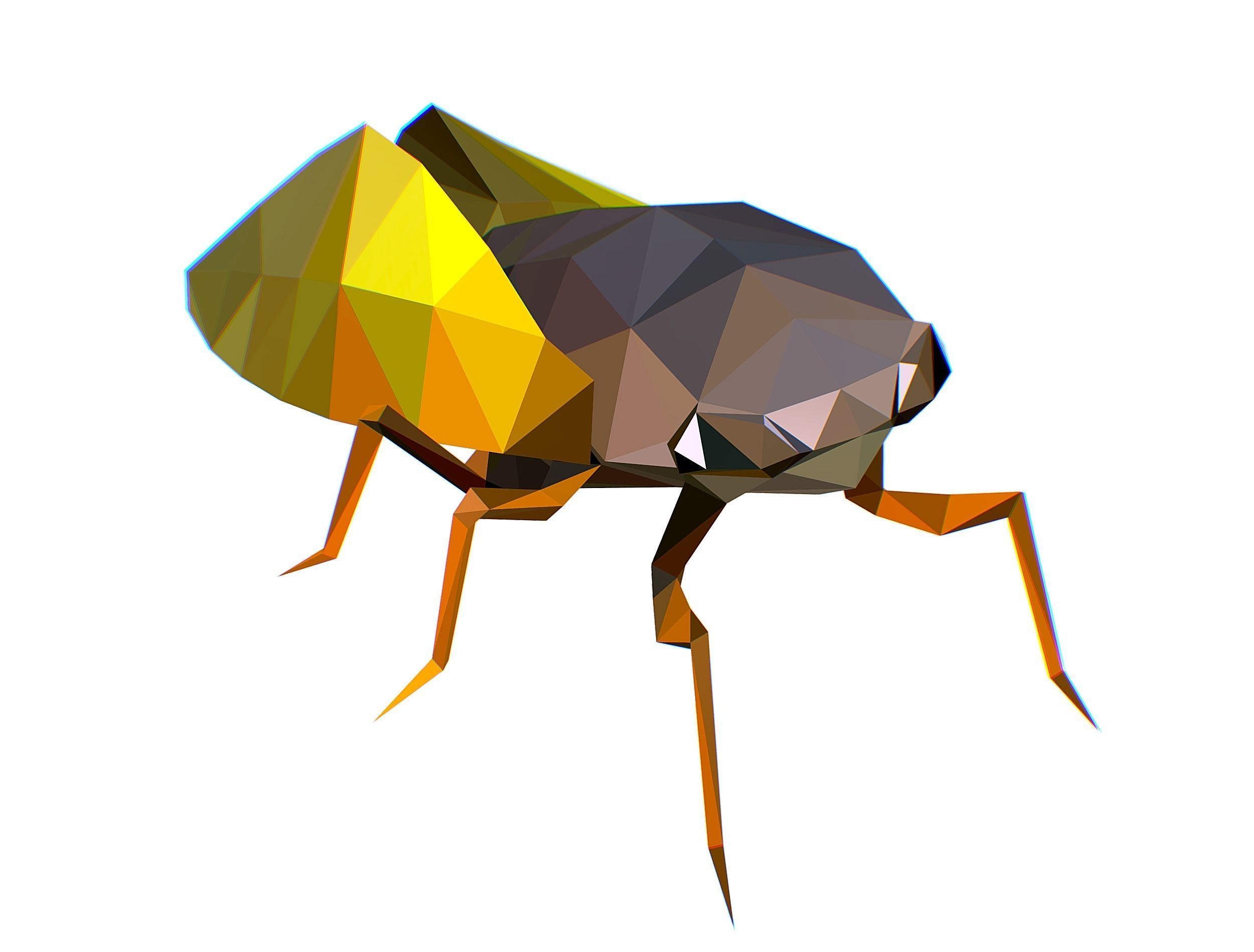 Animated Cicada Lowpoly Art Style Low-poly 3D model_22