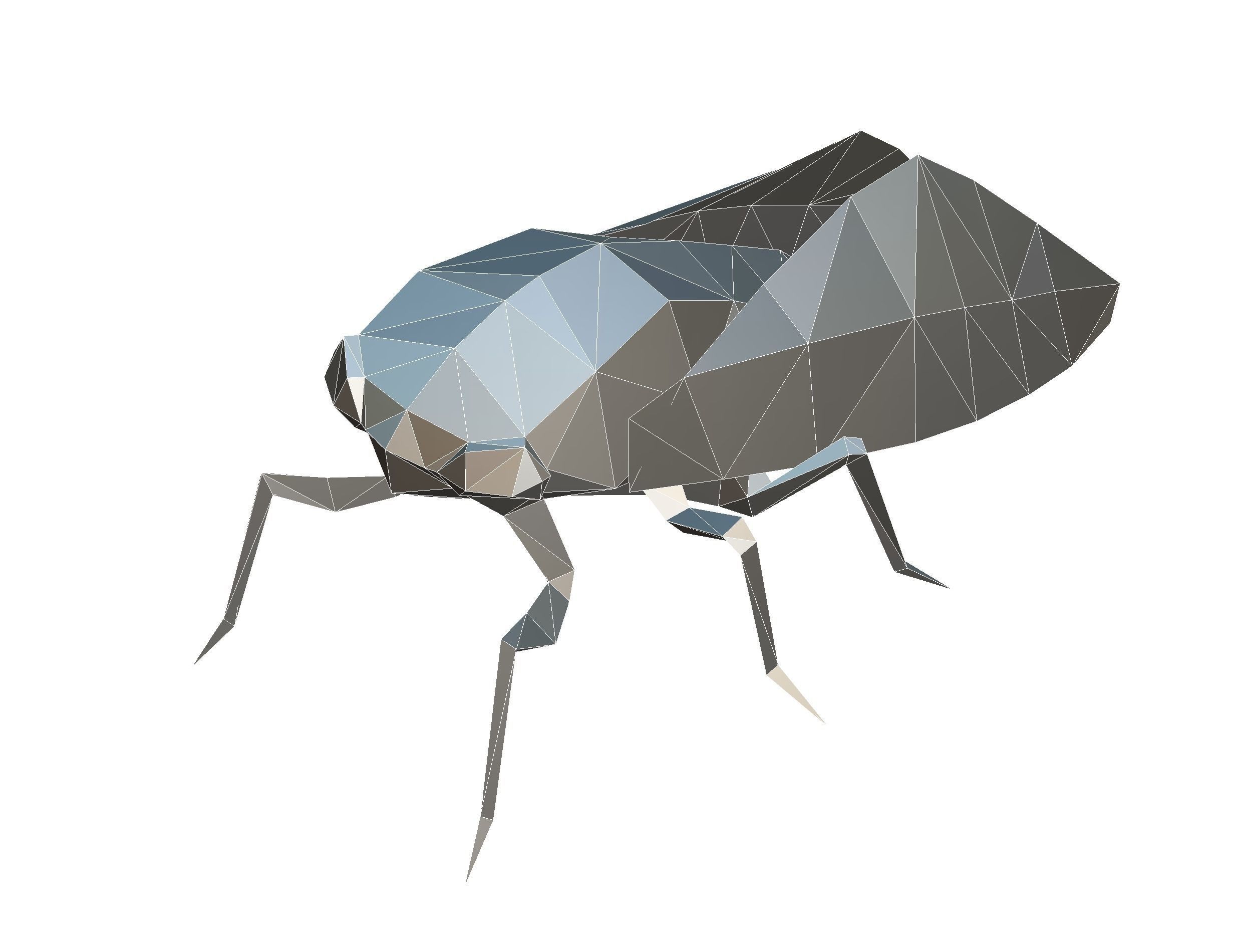 Animated Cicada Lowpoly Art Style Low-poly 3D model_40