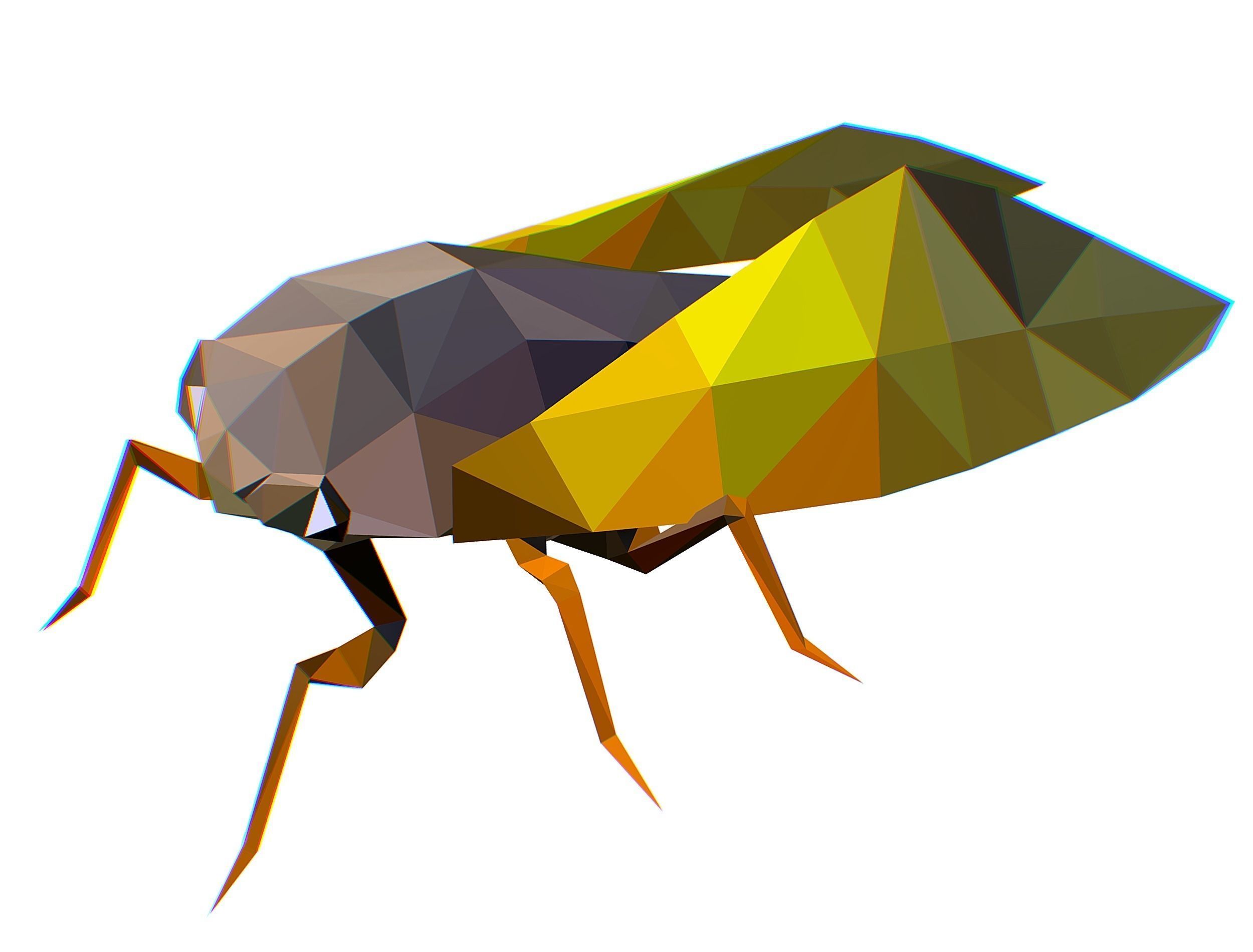 Animated Cicada Lowpoly Art Style Low-poly 3D model_11
