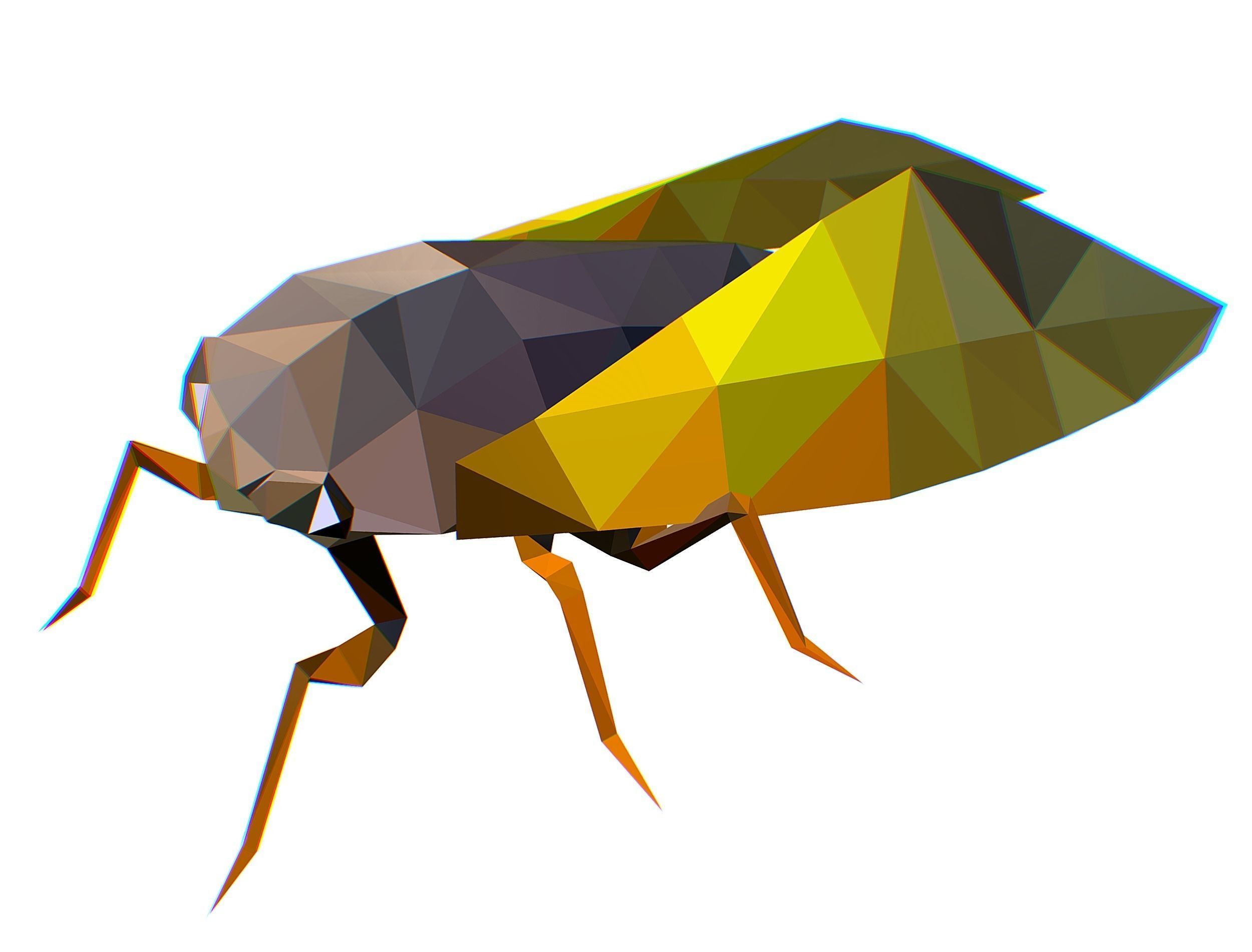 Animated Cicada Lowpoly Art Style Low-poly 3D model_13