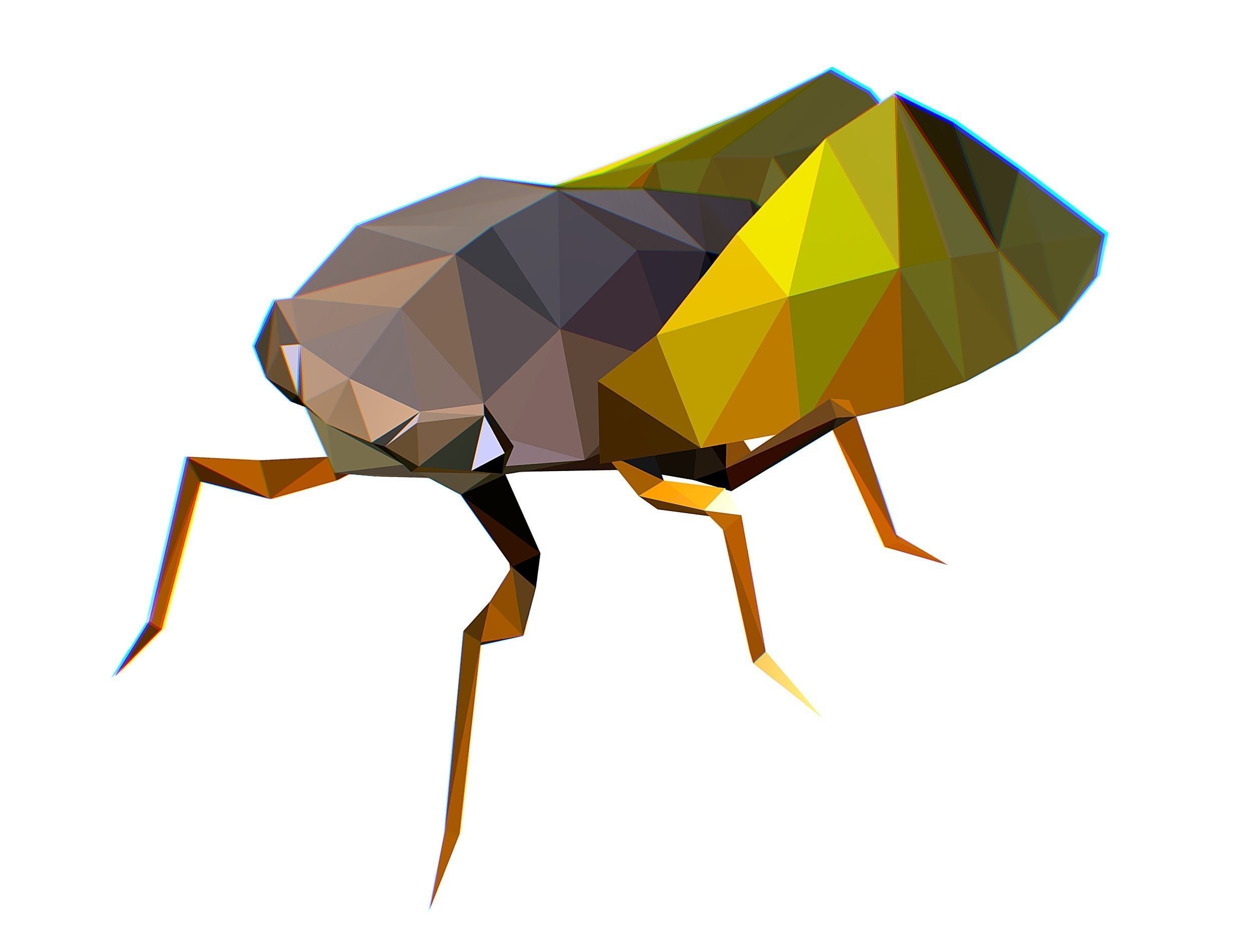 Animated Cicada Lowpoly Art Style Low-poly 3D model_18