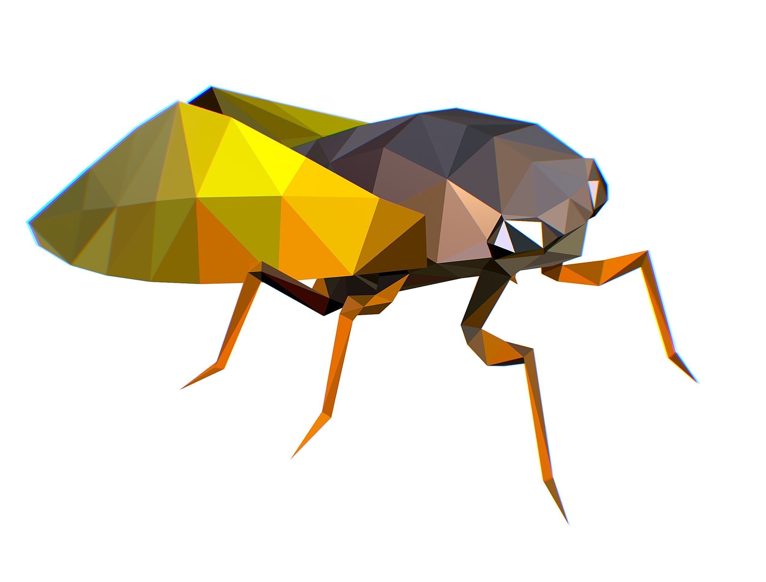 Animated Cicada Lowpoly Art Style Low-poly 3D model_23