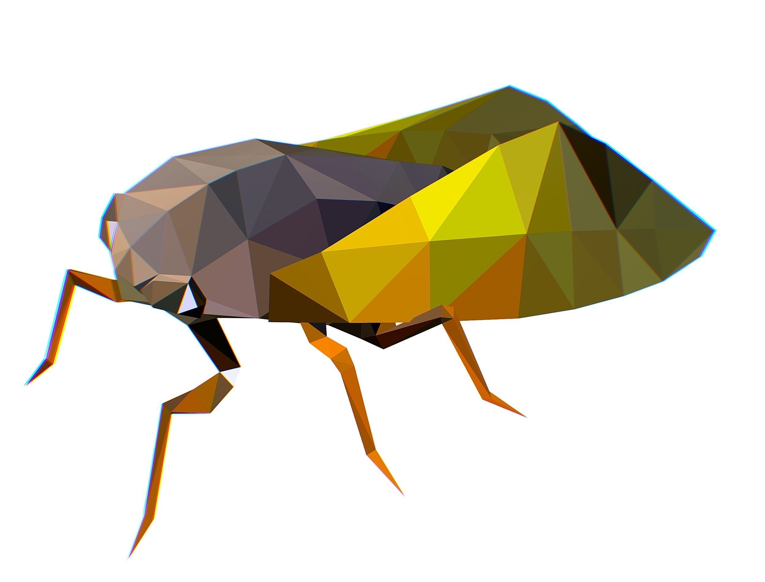 Animated Cicada Lowpoly Art Style Low-poly 3D model_1