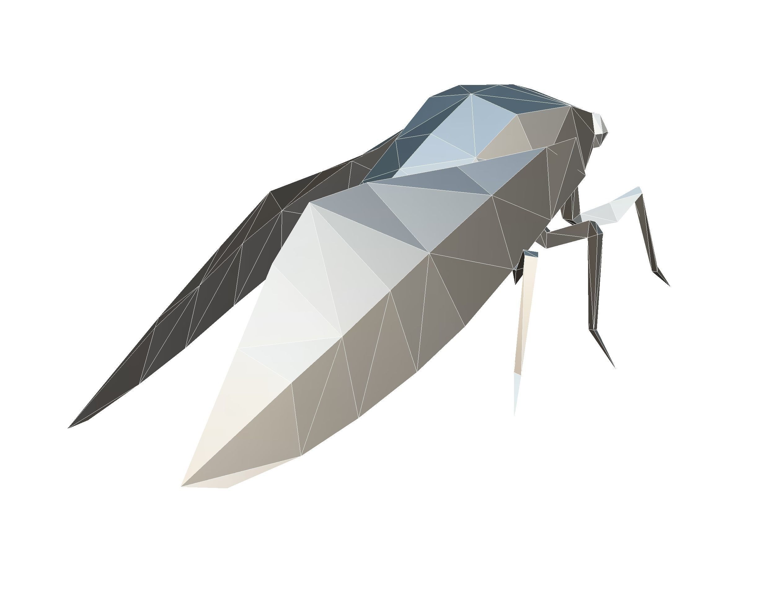 Animated Cicada Lowpoly Art Style Low-poly 3D model_42