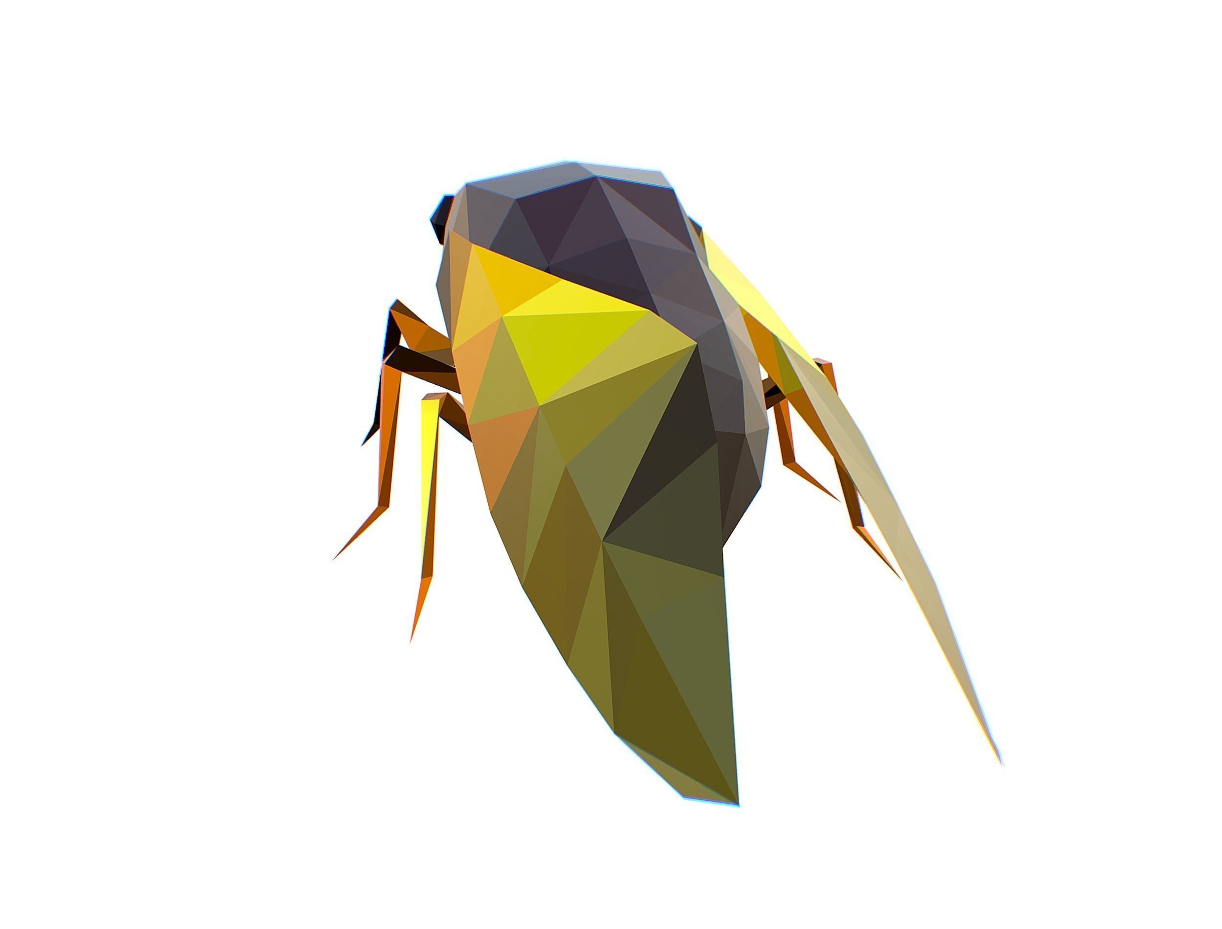 Animated Cicada Lowpoly Art Style Low-poly 3D model_29