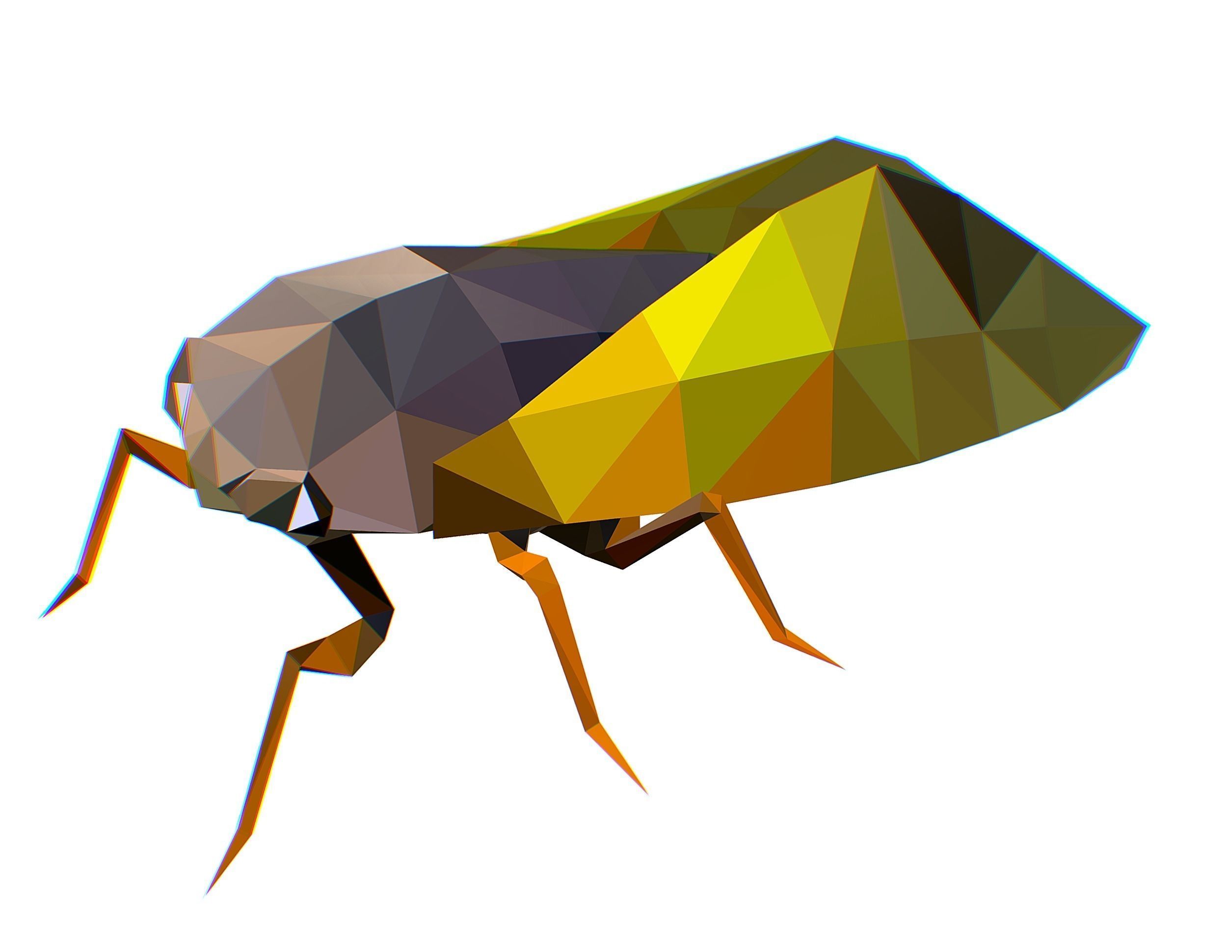 Animated Cicada Lowpoly Art Style Low-poly 3D model_9