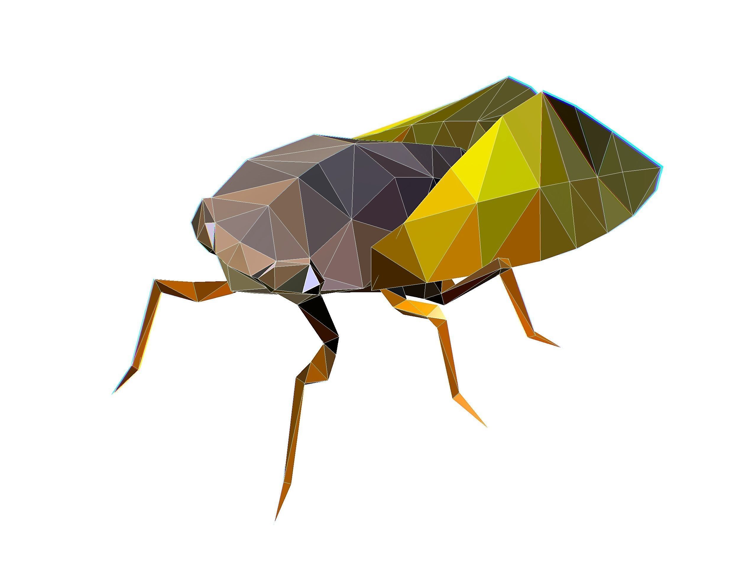 Animated Cicada Lowpoly Art Style Low-poly 3D model_39