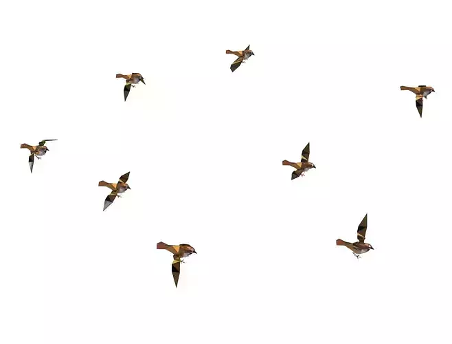 Animated Flock Sparrow Sirds lowpoly art style Low-poly 3D model
