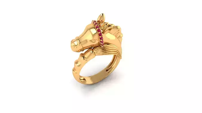hors ring 