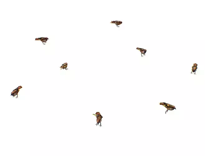 Animated Flock Sparrow Sirds lowpoly art style