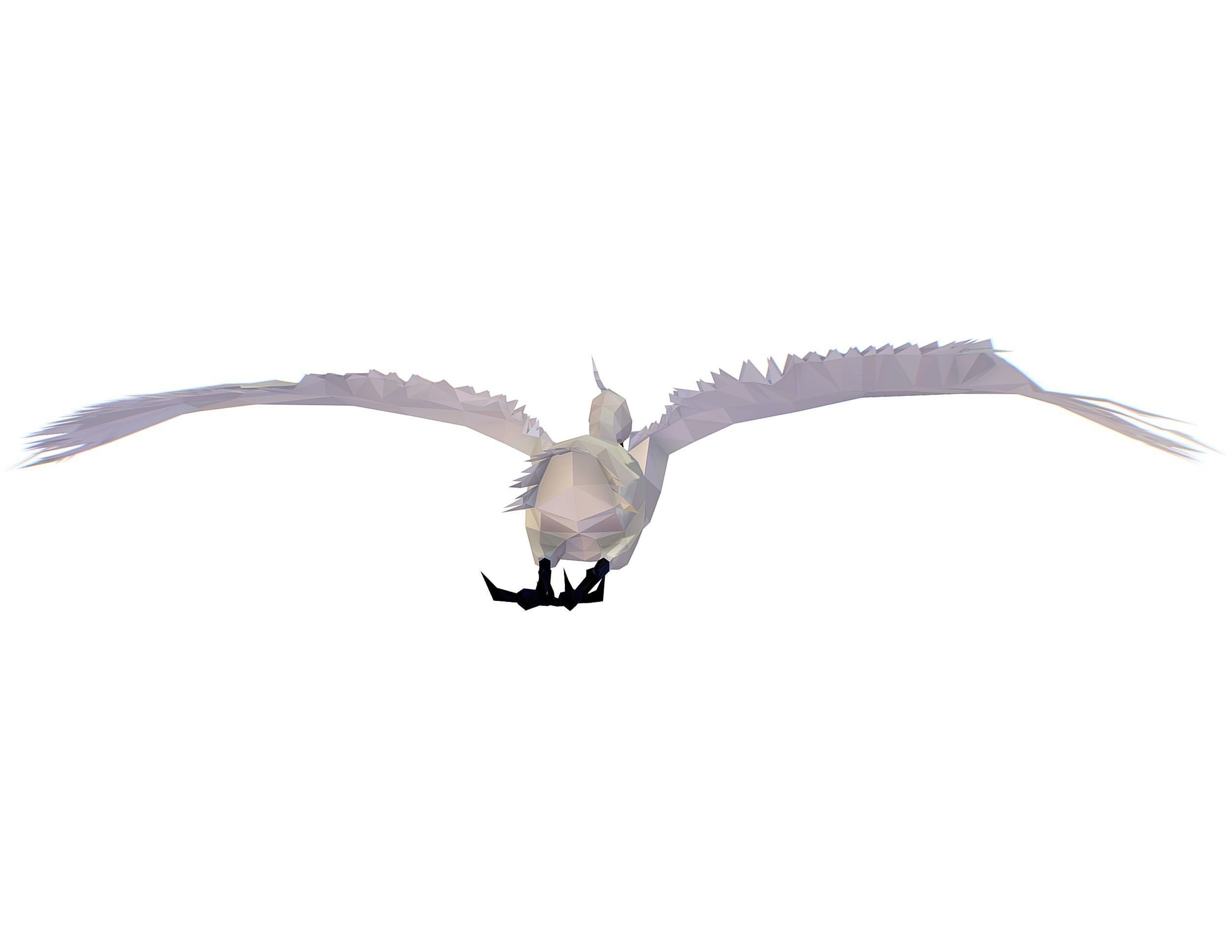 Animated Storck Low Poly Art Low-poly 3D model_16