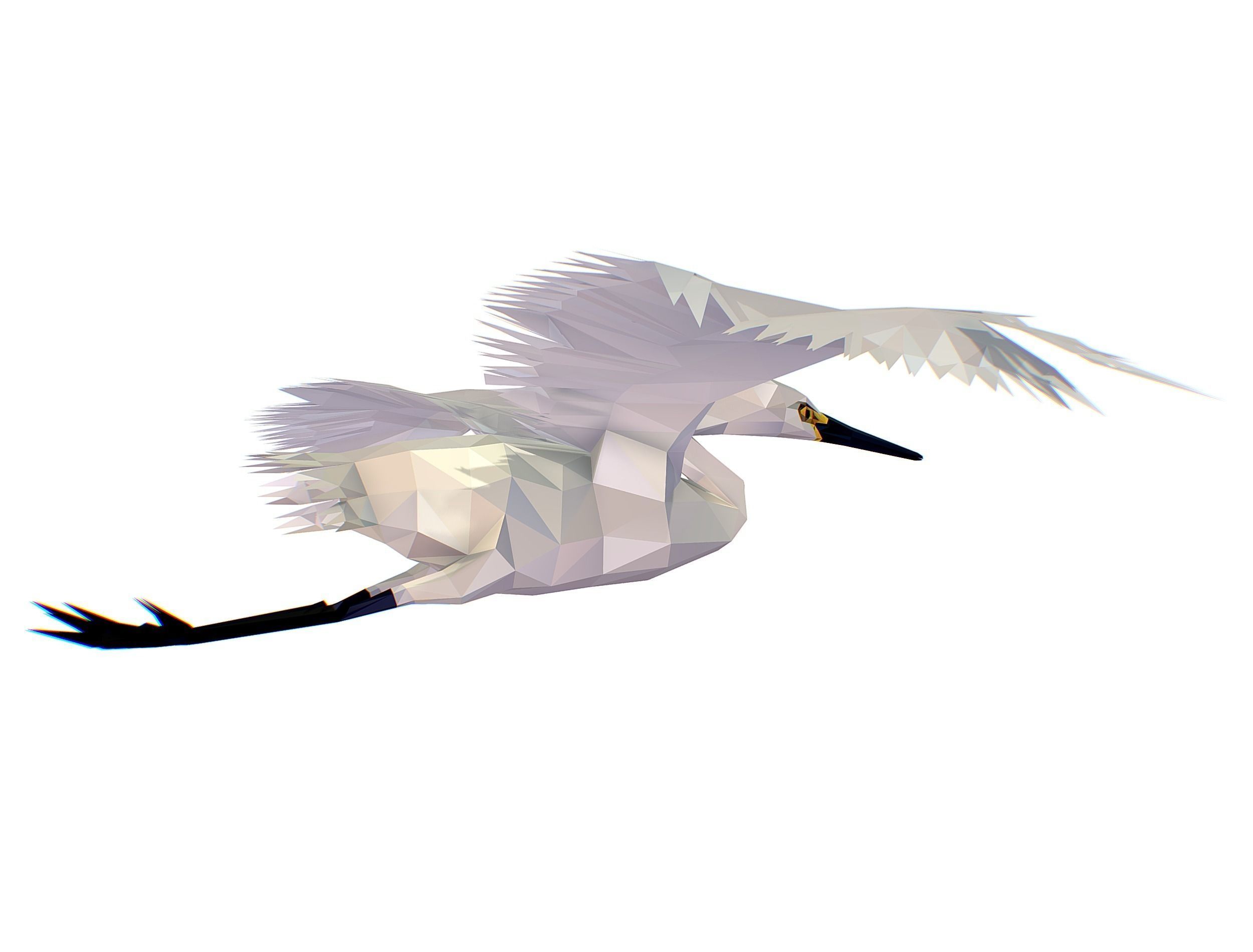 Animated Storck Low Poly Art Low-poly 3D model_12