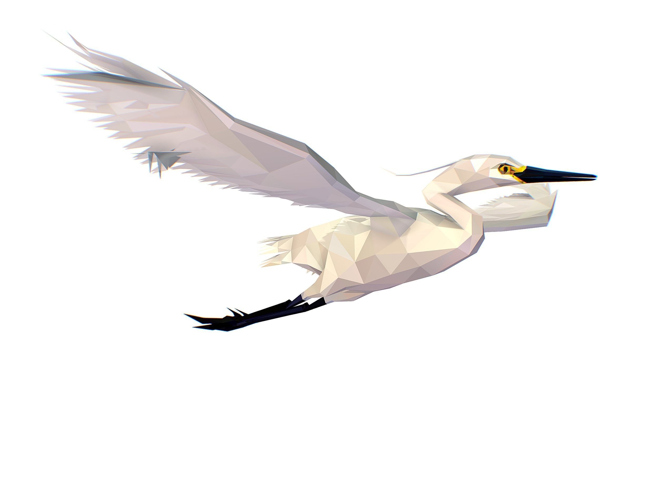 Animated Storck Low Poly Art Low-poly 3D model_2