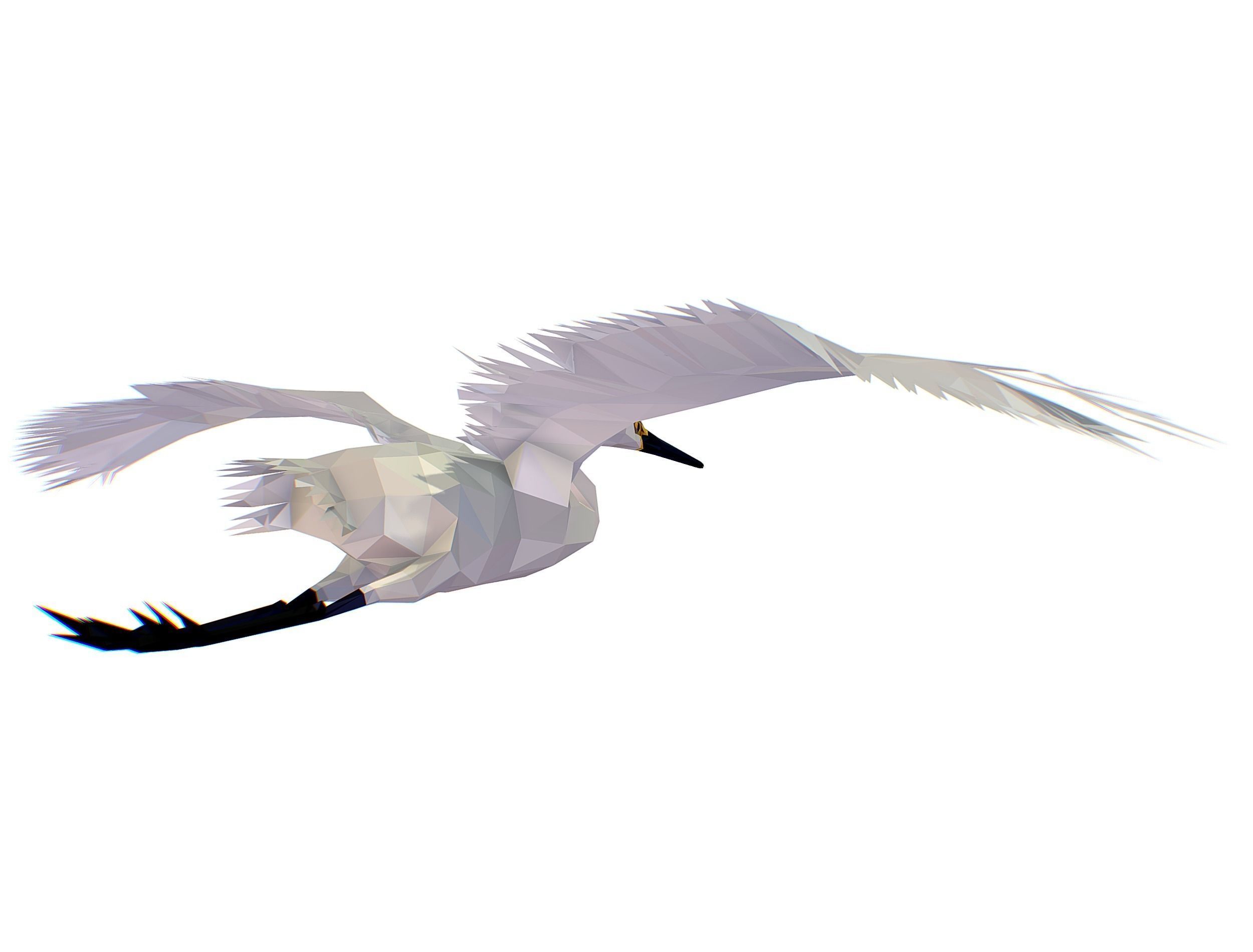 Animated Storck Low Poly Art Low-poly 3D model_14