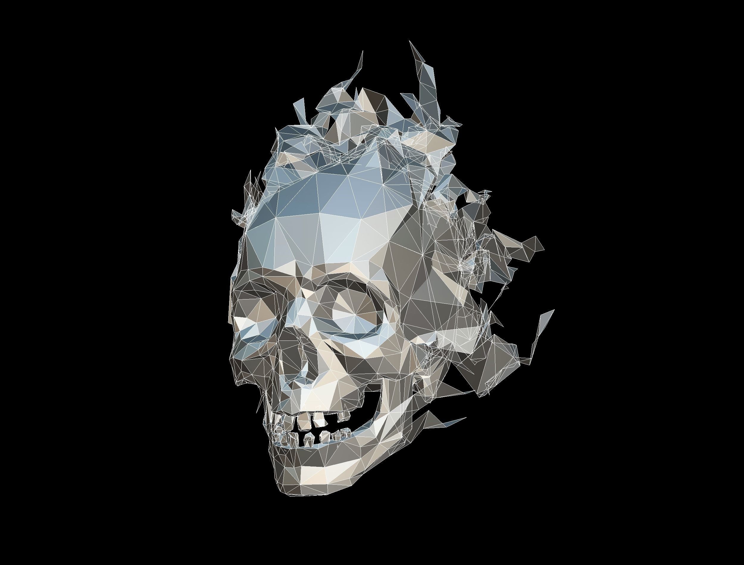Animated Skull Low Poly Art Low-poly 3D model_28