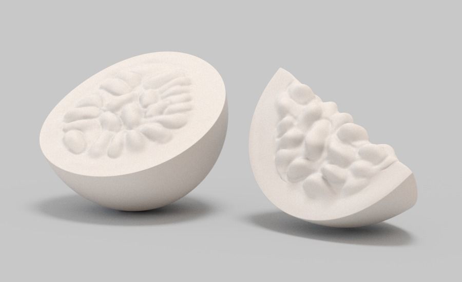 Passionfruit  3D model_2